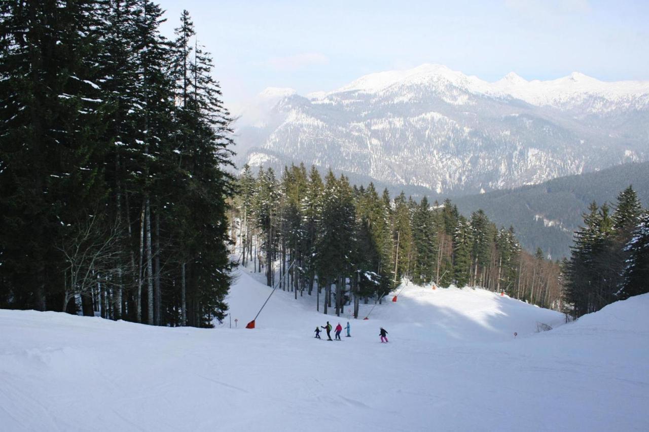 Holiday Resort Altaussee, Lichtersberg エクステリア 写真